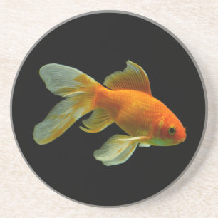 Dessous de verre Fancy Goldfish