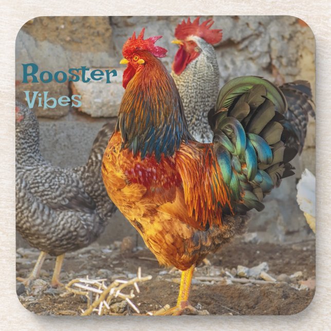 Dessous-de-verre Farm Life Rooster Vibes Hard Plastic Coasters (Devant)