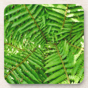 Dessous-de-verre Fermes des bois