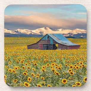 Dessous-de-verre Fermes   Terrain tournesol