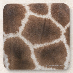 Dessous-de-verre Fermez-vous de la peau de girafes