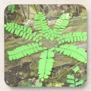 Dessous de verre Fern