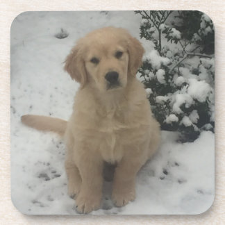 Dessous de verre - Festive Golden Retriever Puppy.