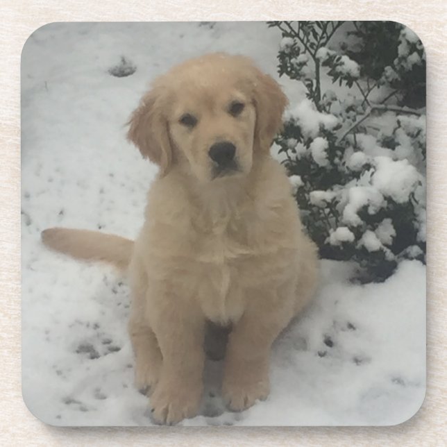 Dessous de verre - Festive Golden Retriever Puppy. (Devant)