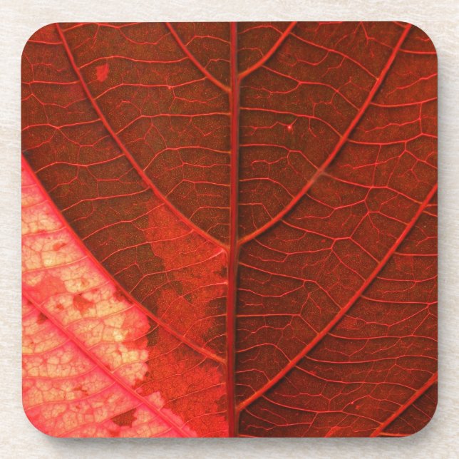 Dessous-de-verre Feuille (Devant)