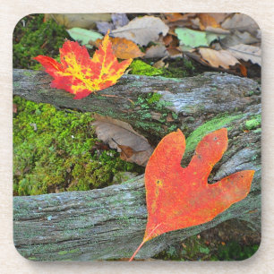 Dessous de verre feuille d'automne