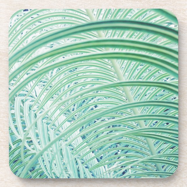 Dessous-de-verre Feuille de palmier de plante verte douce (Devant)
