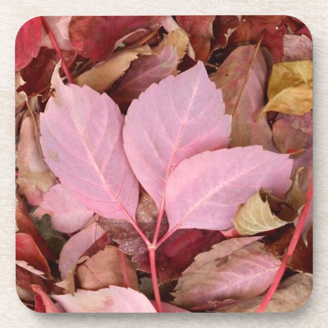 Dessous de verre Feuille rouge (Devant)