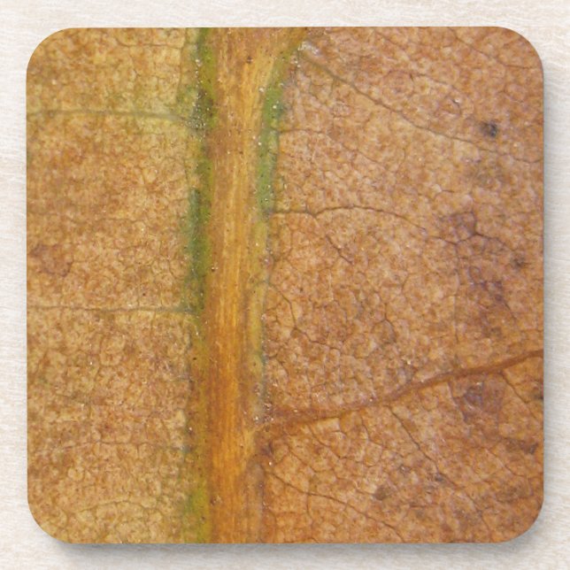 Dessous-de-verre Feuille tombée 11 (Devant)