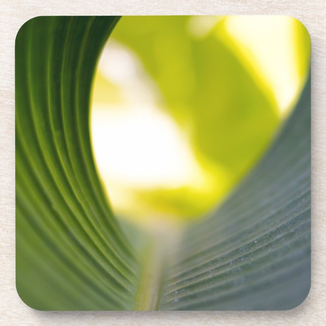 Dessous-de-verre Feuille verte (Devant)