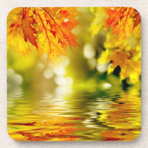 Dessous-de-verre Feuilles d'automne colorées reflétant dans l'eau 2