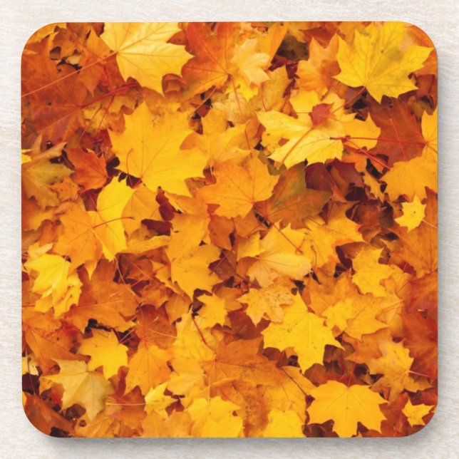 Dessous-de-verre Feuilles d'érable jaune d'automne (Devant)