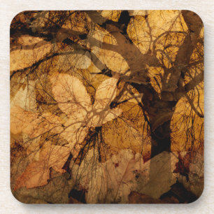 Dessous-de-verre Feuilles d'or et de Brown  Île Merritt, FL