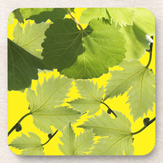 Dessous-de-verre Feuilles verts de vigne (Devant)