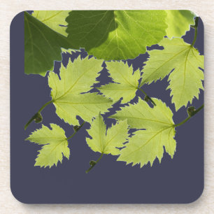 Dessous-de-verre Feuilles verts de vigne