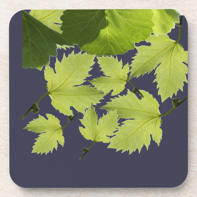 Dessous-de-verre Feuilles verts de vigne (Devant)