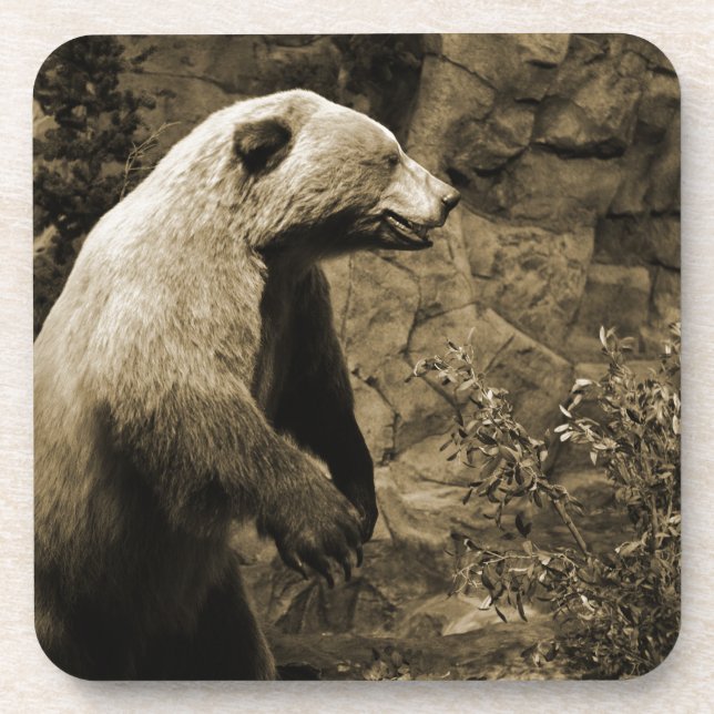 Dessous-de-verre Fière Ours (Devant)