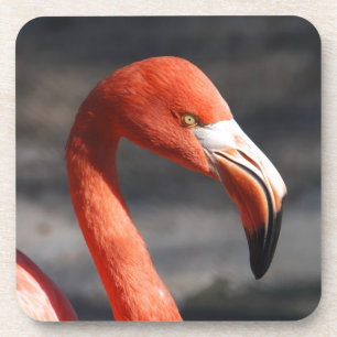 Dessous-de-verre Flamant rose
