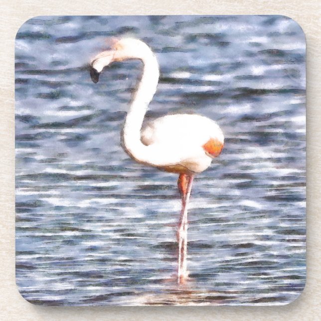 Dessous-de-verre Flamant rose sauvage (Devant)