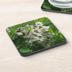 Dessous-de-verre Fleur blanche de Robinia