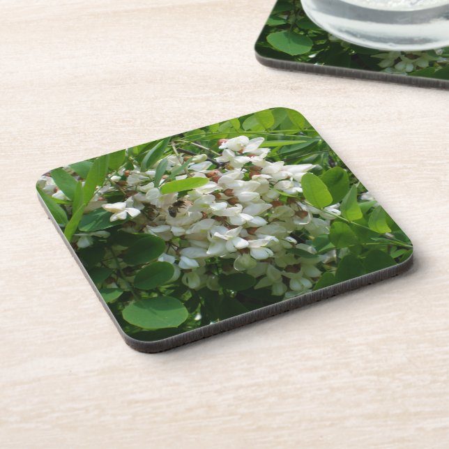Dessous-de-verre Fleur blanche de Robinia (Côté gauche)