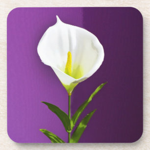 Dessous-de-verre Fleur Cala Lily