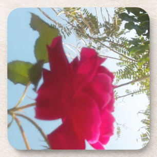 Dessous-de-verre Fleur céleste : Un Rose contre le ciel