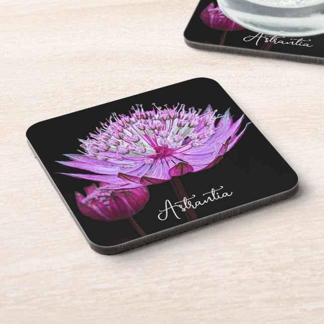 Dessous-de-verre Fleur d'Astrantia rose sur fond floral noir (Côté gauche)