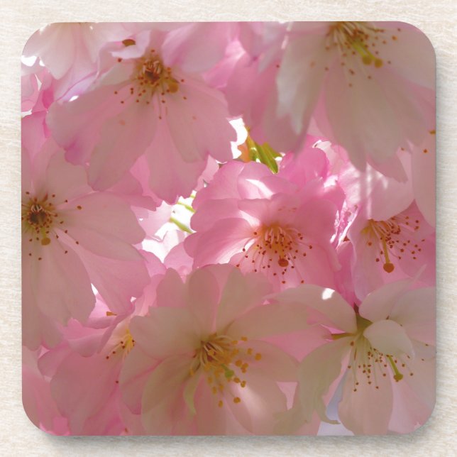 Dessous-de-verre Fleur de cerisier japonaise (Devant)