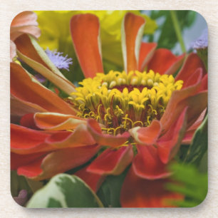 Dessous-de-verre fleur de chrysanthème