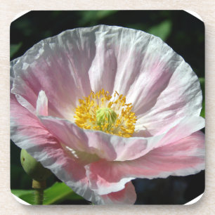 Dessous-de-verre Fleur de coquelicot rose
