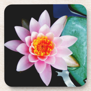 Dessous-de-verre Fleur de laine d'eau chaude rose et orange de lotu