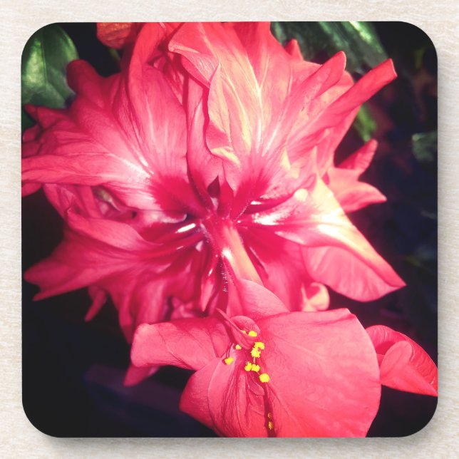 Dessous-de-verre Fleur de l'Hibiscus rouge (Devant)