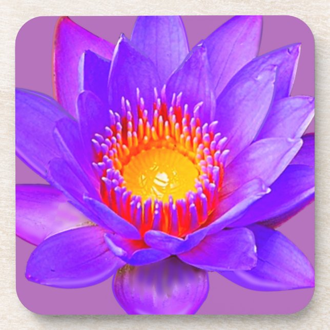 Dessous-de-verre Fleur de lotus violette (Devant)