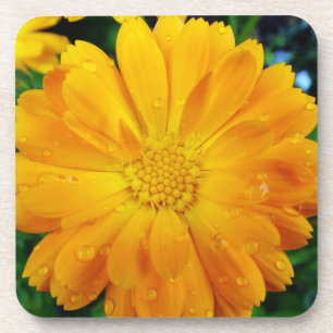 Dessous-de-verre fleur de marguerite jaune