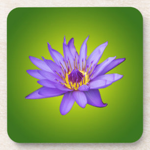 Dessous-de-verre Fleur de nénuphar Étang aquatique Fleur d'eau viol