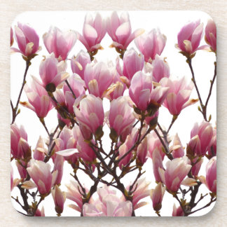 Dessous-de-verre Fleur de printemps rose florissante Magnolias