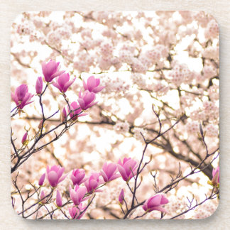 Dessous-de-verre Fleur de printemps rose pourpre en floraison