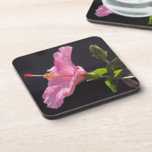 Dessous-de-verre Fleur d'Hibiscus de Profil