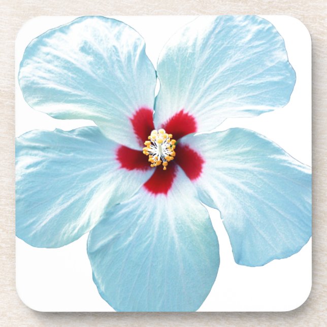 Dessous-de-verre Fleur d'Hibiscus hawaïen (Devant)