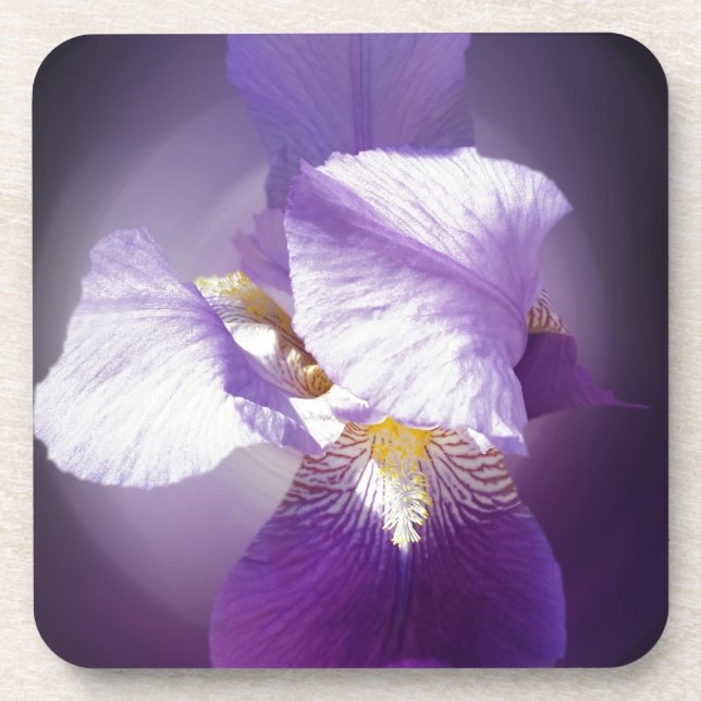 Dessous-de-verre fleur d'iris pourpre (Devant)