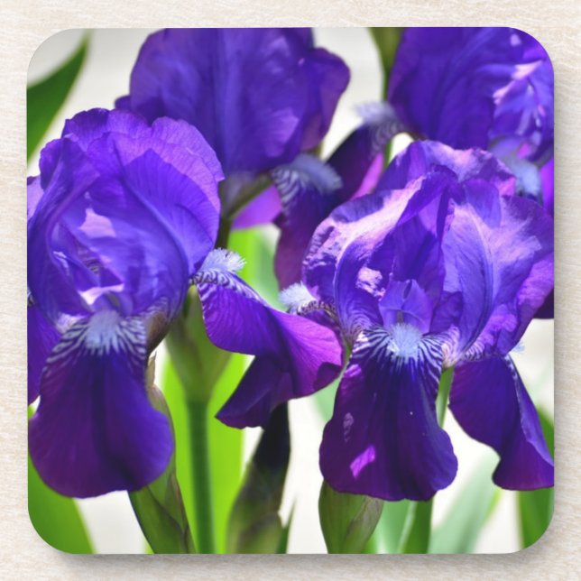 Dessous-de-verre Fleur Iris Iris Violet (Devant)