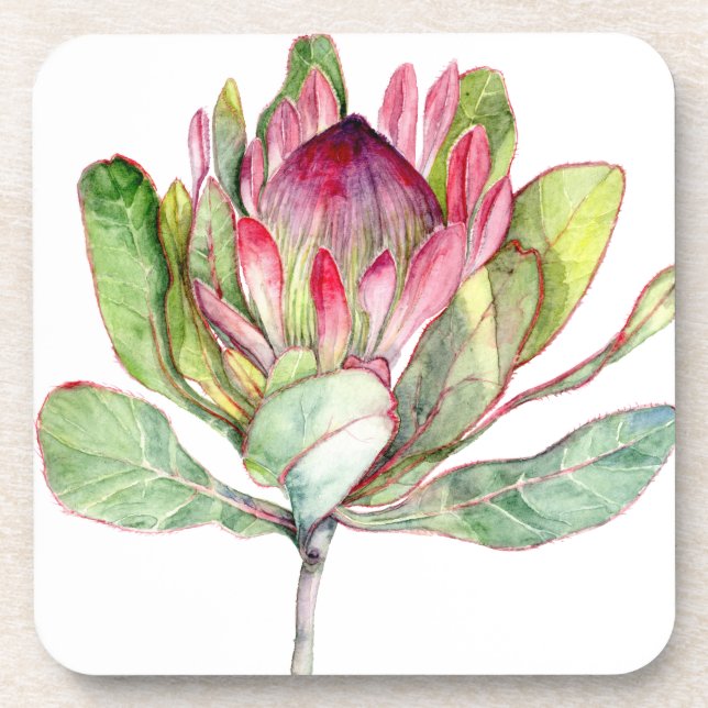 Dessous-de-verre Fleur Protea (Devant)