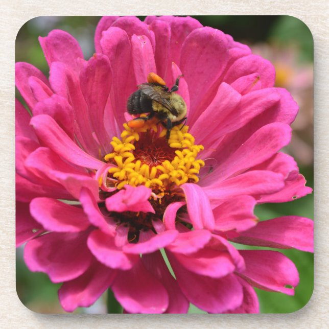 Dessous-de-verre Fleur rose et Bumble bebe (Devant)