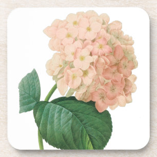 Dessous-de-verre Fleur rose vintage de Hortensia d'hortensia par