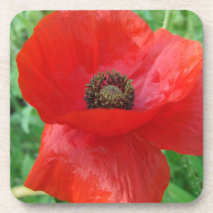 Dessous-de-verre Fleur Rouge