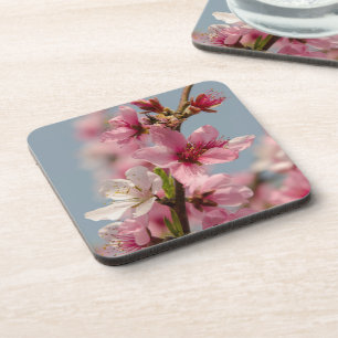 Dessous-de-verre Fleur Sakura, Fleur japonaise rose