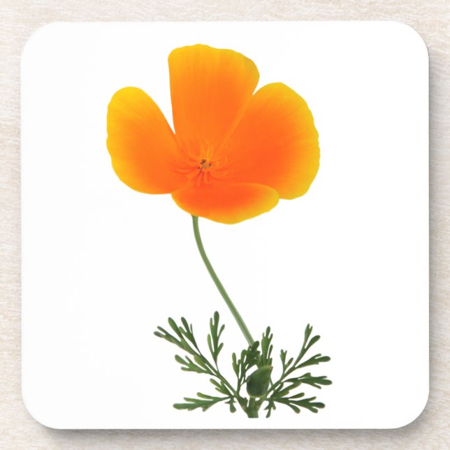 dessous de verre fleur sauvage (Devant)