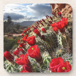 Dessous-de-verre Fleur sauvage - Grand Canyon - Arizona