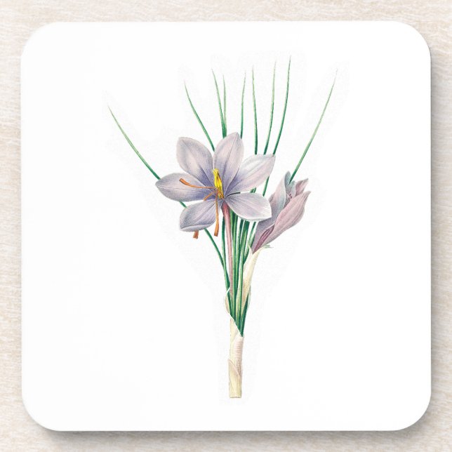 Dessous-de-verre Fleurs : A007 Crocus d'automne - (Devant)